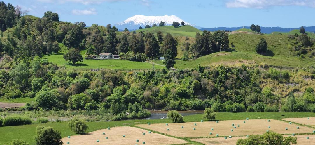 Photo of Others in Taumarunui