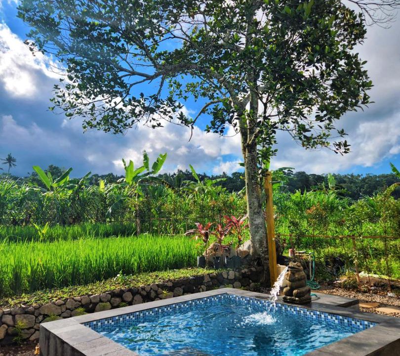 Photo of Others in Ababi