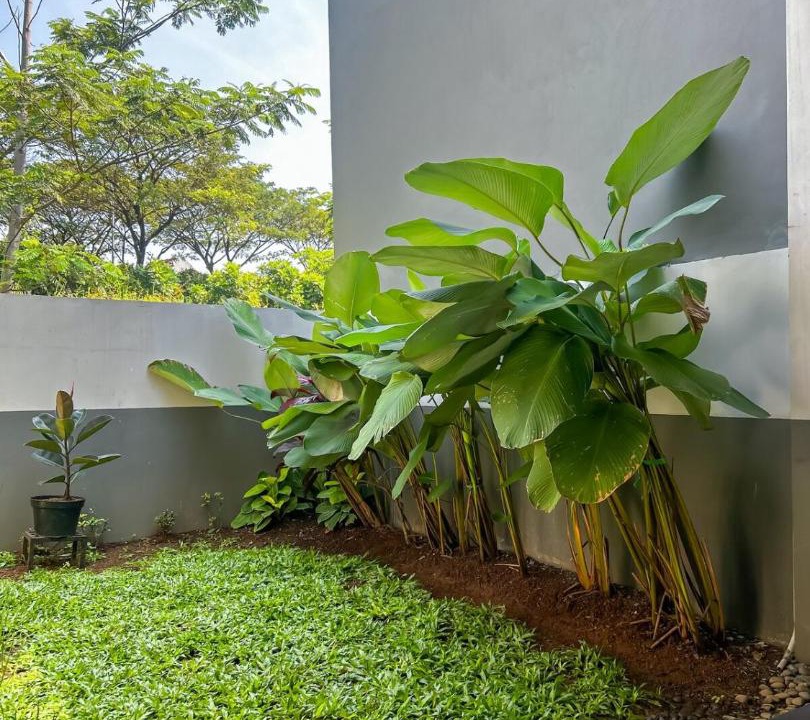 Photo of Others in Bogor Selatan
