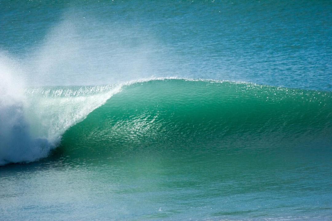 Photo of Others in Wainui