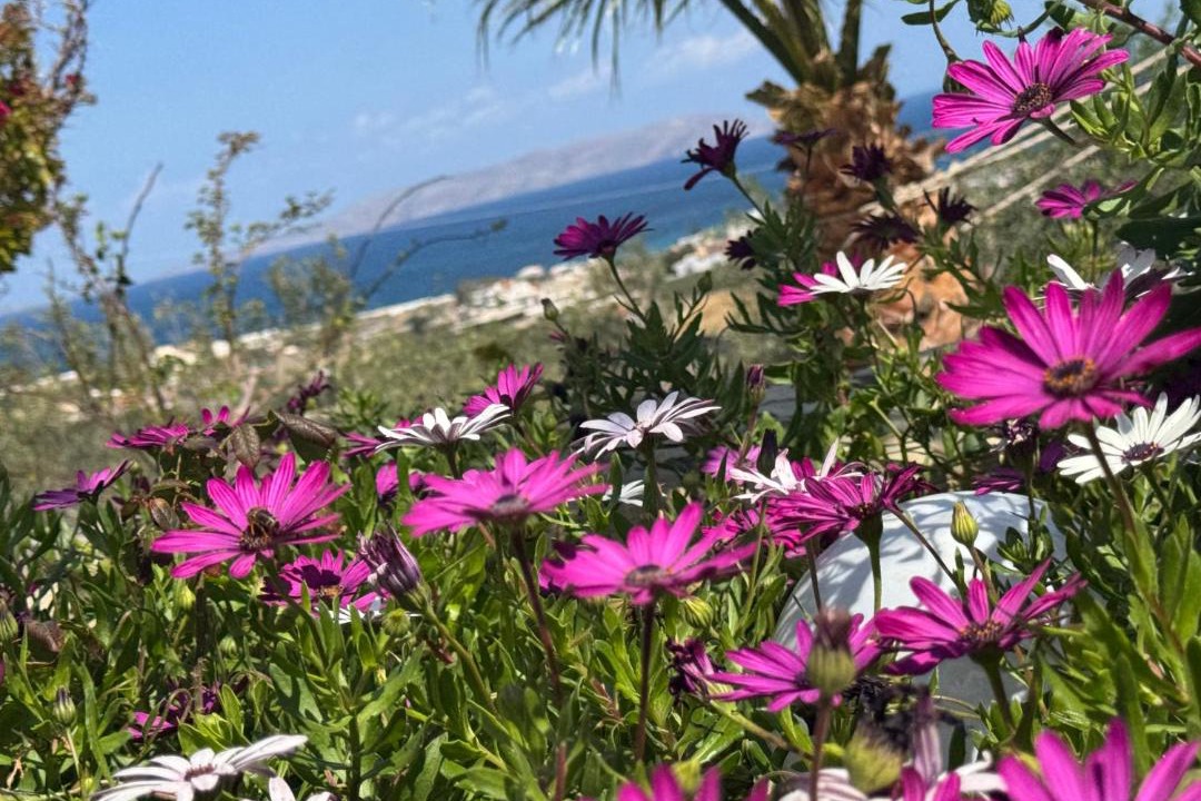 Photo of Others in Vathianos Kampos