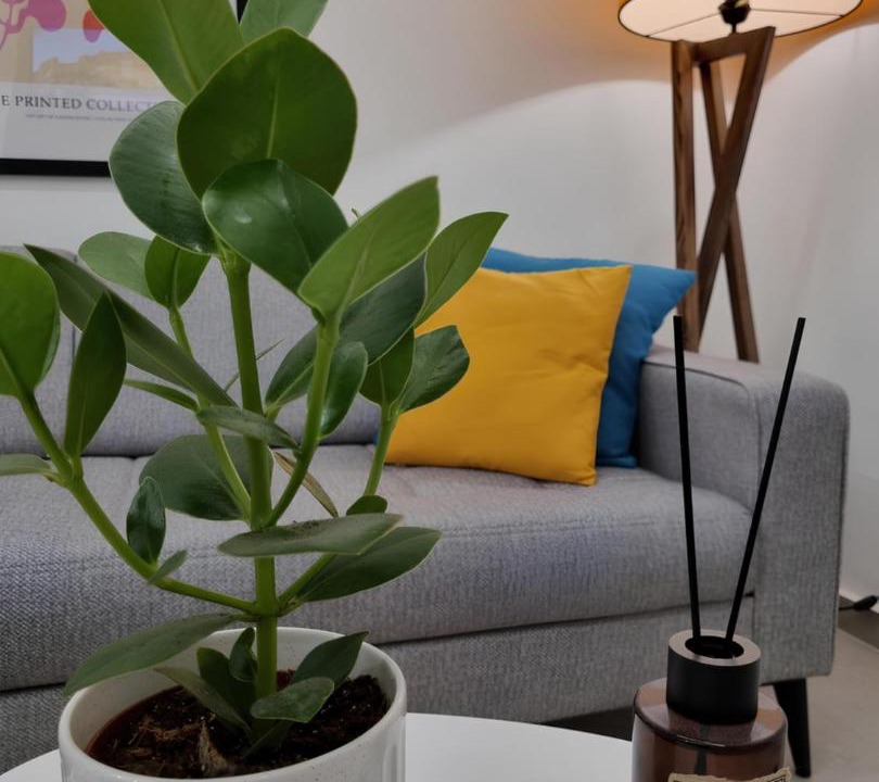 Photo of Livingroom in Ano Patisia
