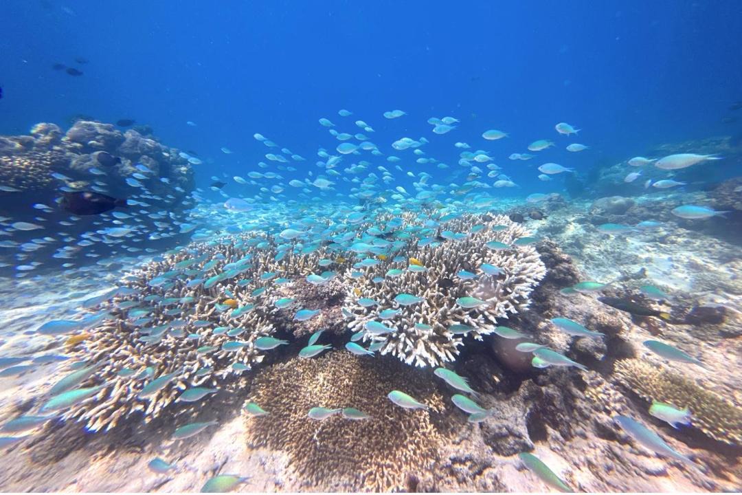 Photo of Others in Gili Air