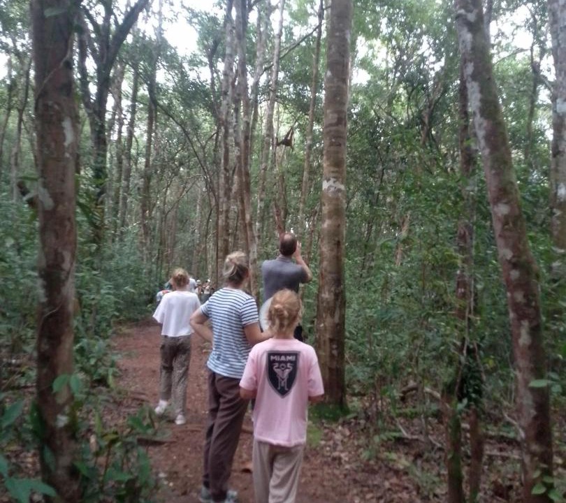Photo of Others in Kumai