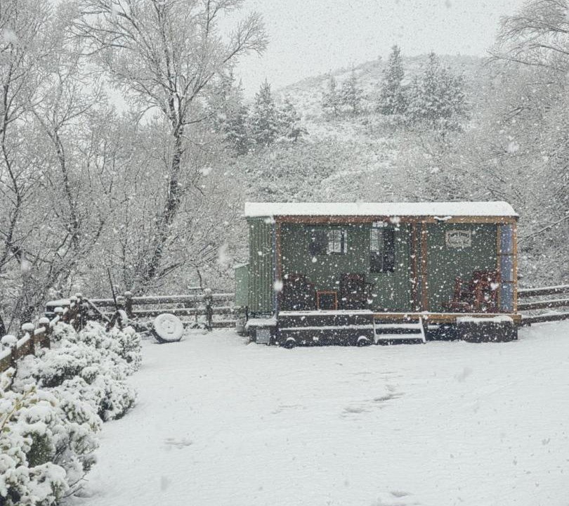 Photo of Others in Burkes Pass