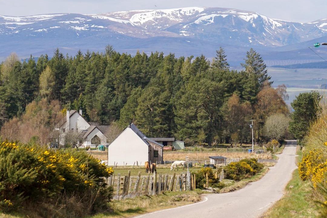 Photo of Others in Dingwall