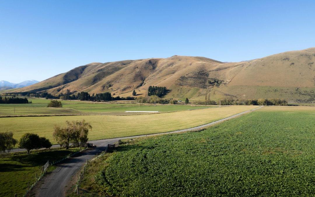 Photo of Others in Mackenzie Country