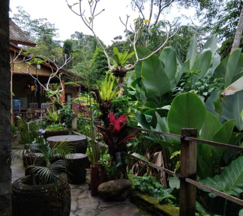 Photo of Others in Tegallalang