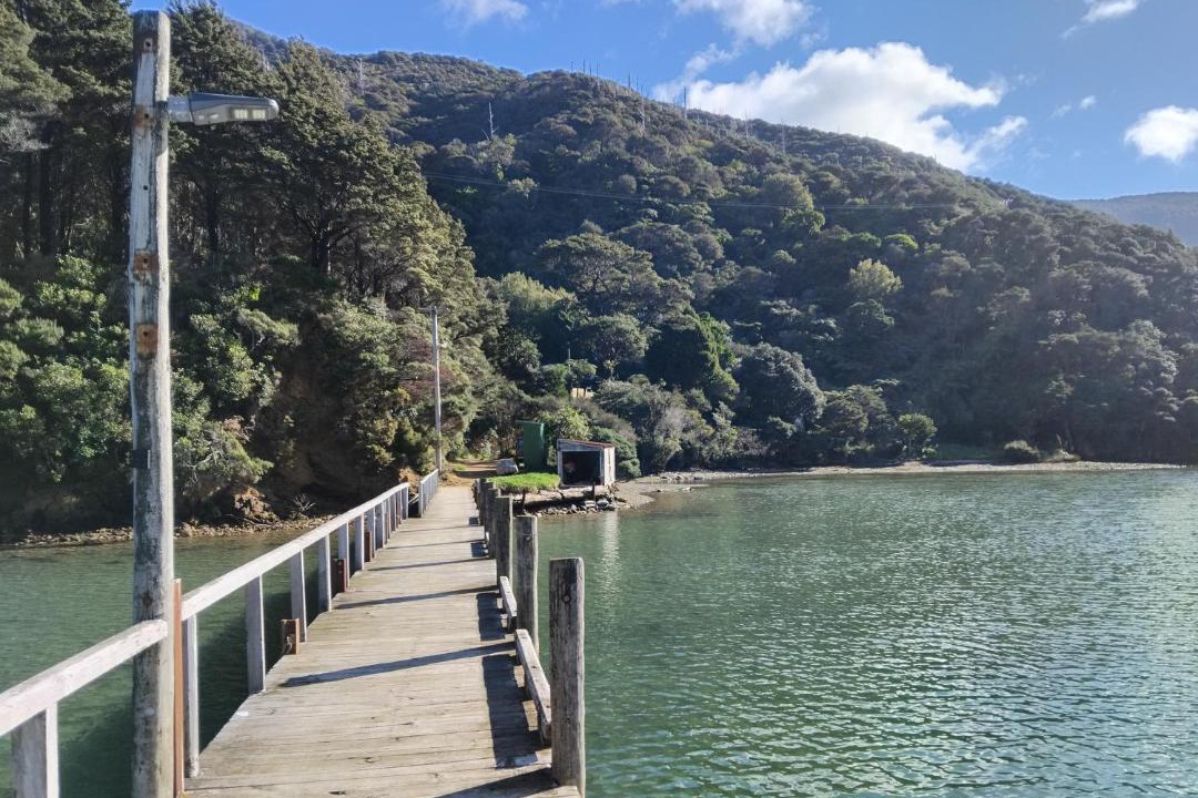 Photo of Others in Endeavour Inlet
