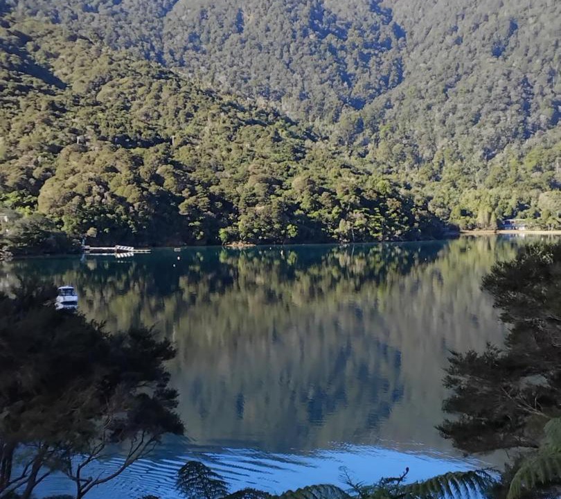 Photo of Others in Endeavour Inlet