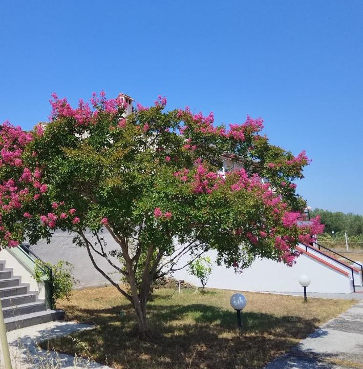 Photo of Outdoor in Litochoro