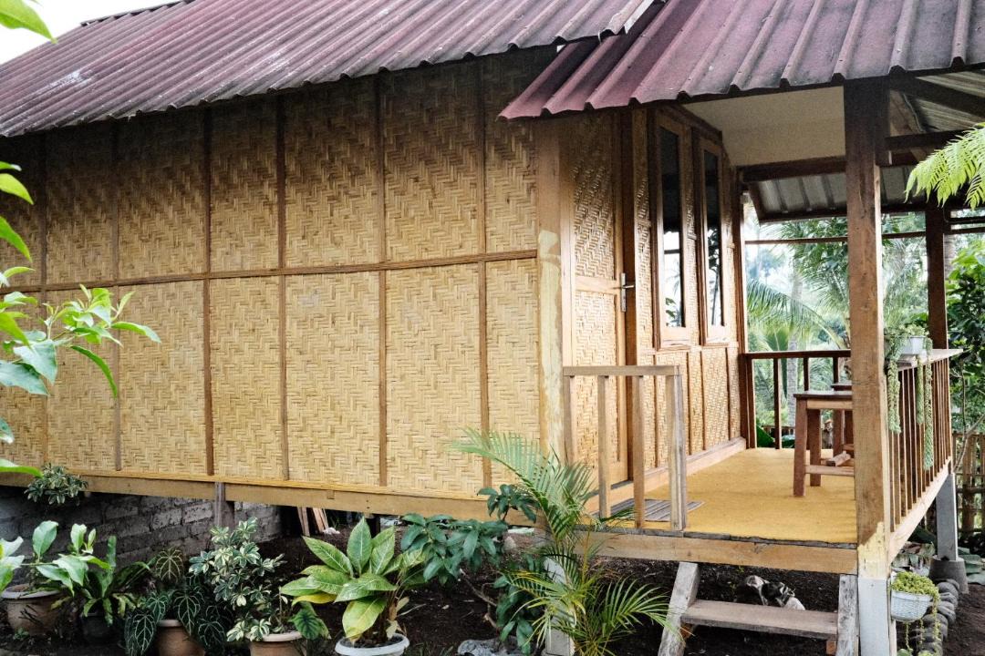 Photo of Others in Lombok