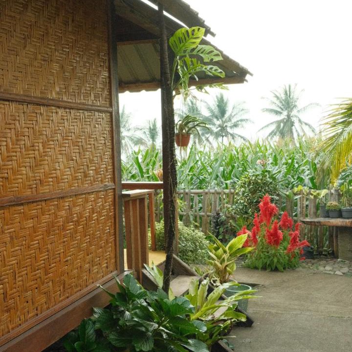 Photo of Others in Lombok