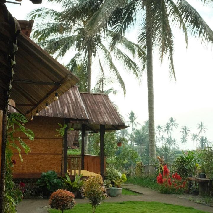 Photo of Others in Lombok