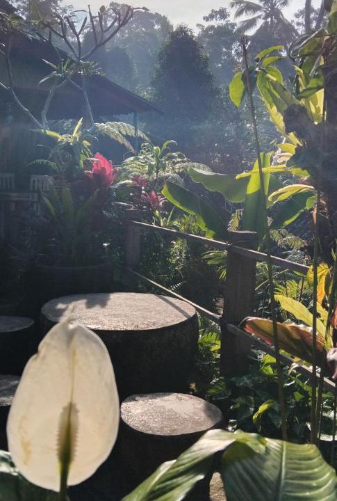 Photo of Others in Tegallalang