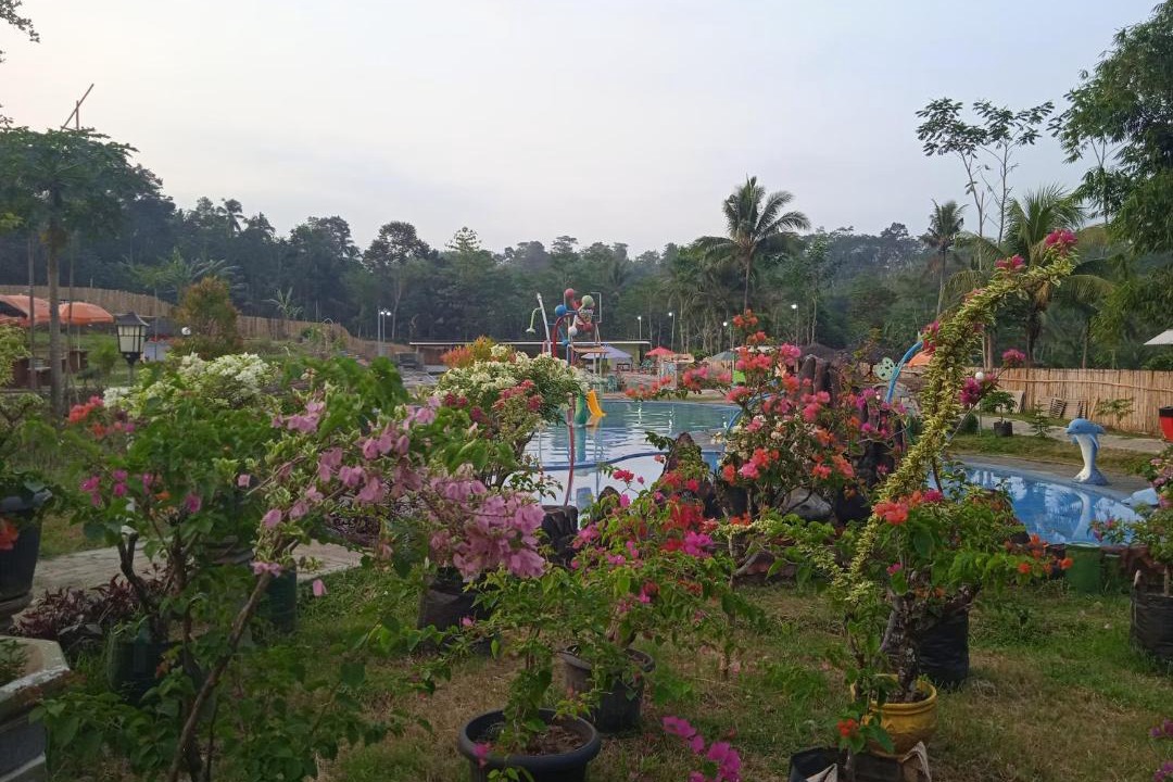 Photo of Outdoor in Kajarharjo