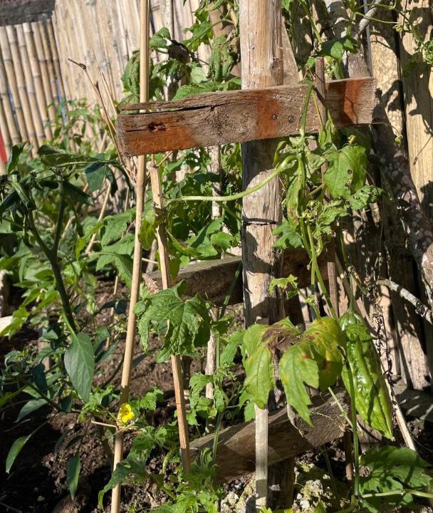 Photo of Outdoor in Ruteng