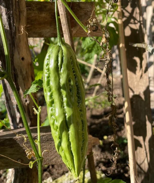 Photo of Outdoor in Ruteng