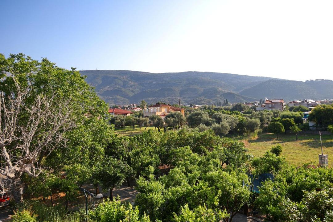 Photo of Others in Gefira Mpania