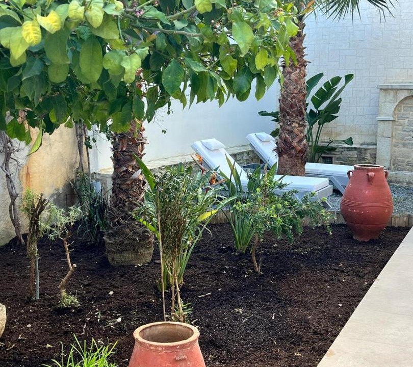 Photo of Others in Venerato