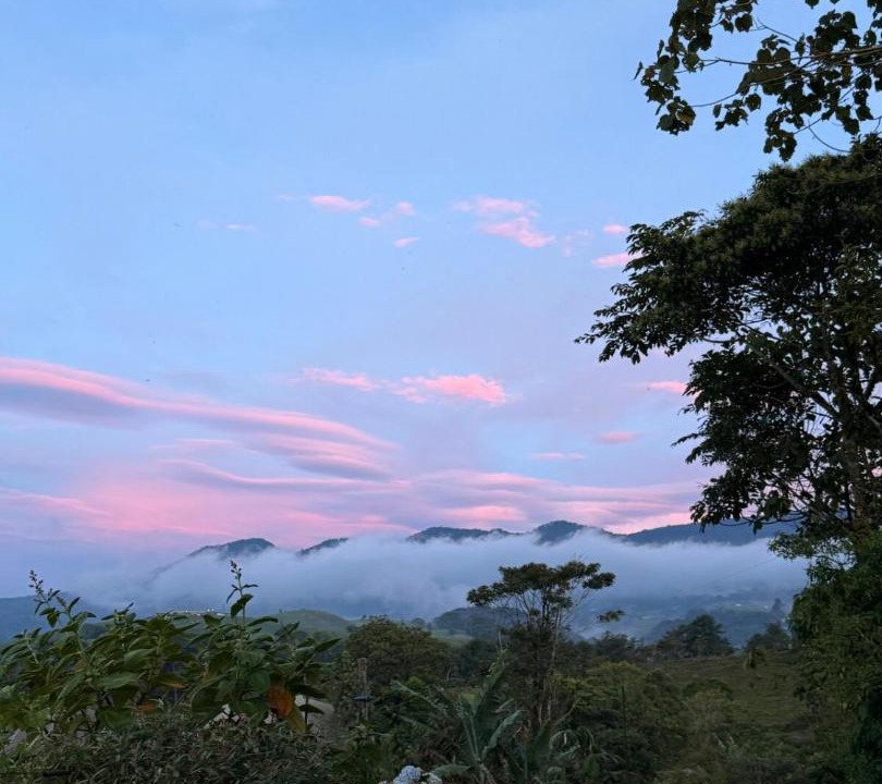 Photo of Others in Poas Volcano National Park