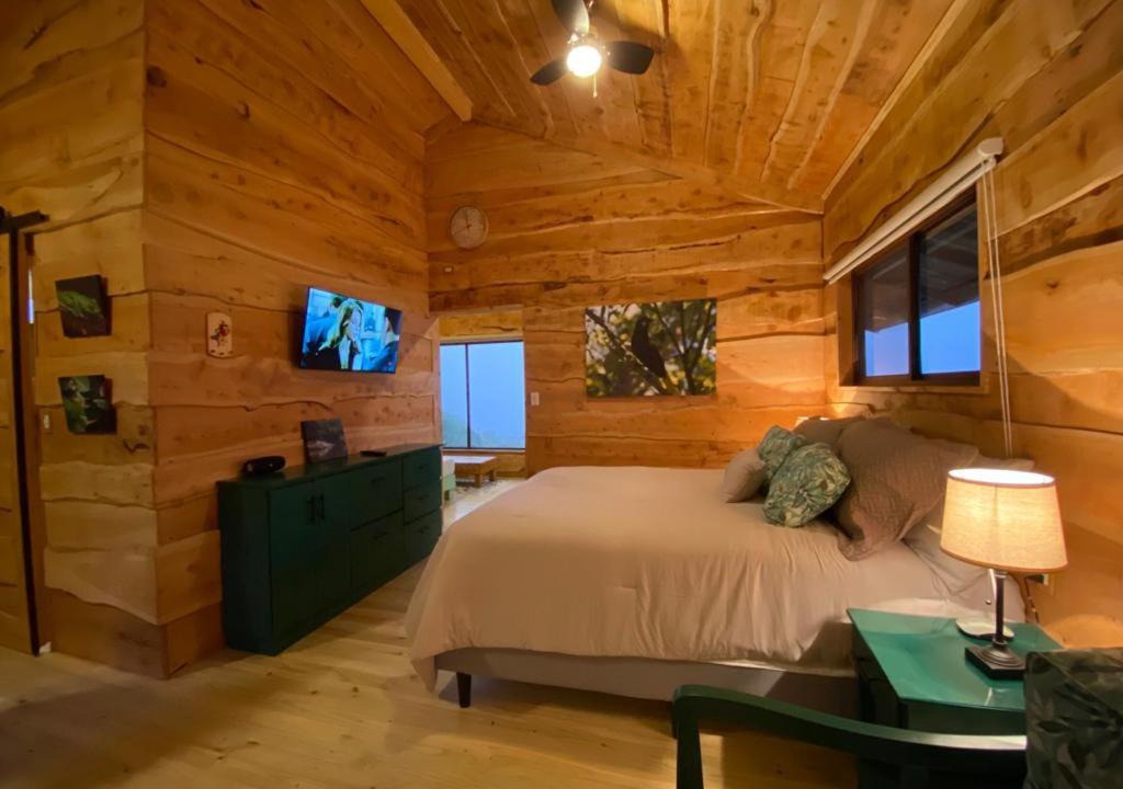 Photo of Bedroom in Roble