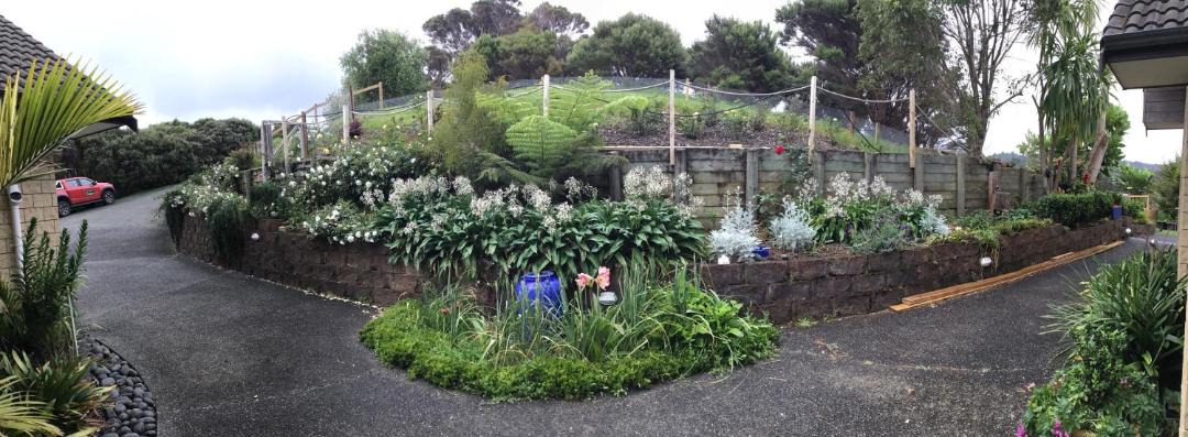 Photo of Outdoor in Tutukaka