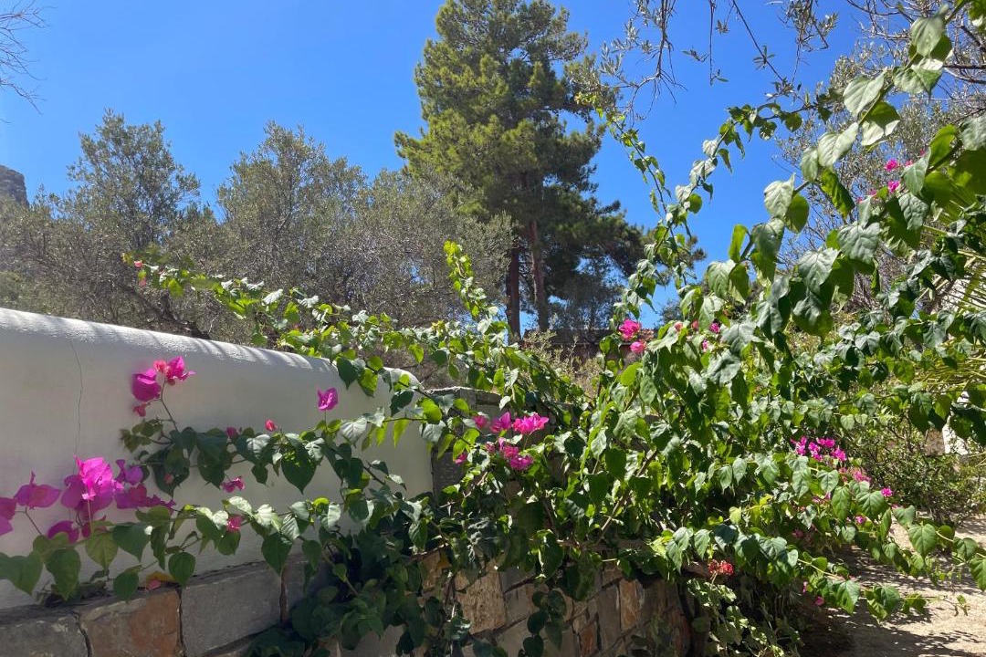 Photo of Others in Old Hersonissos