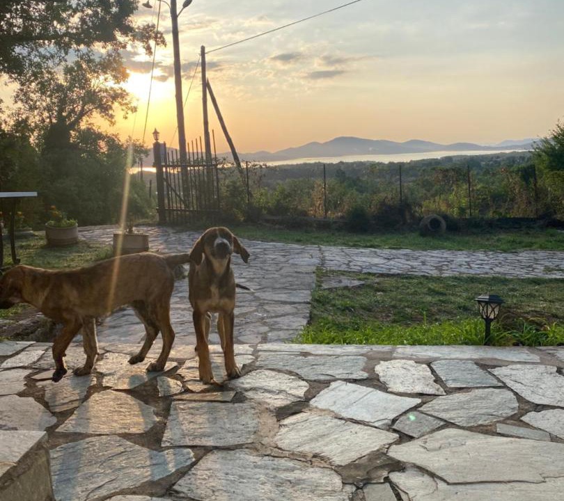 Photo of Others in Lake Plastiras
