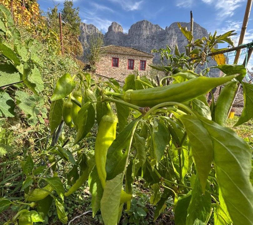 Photo of Others in Papigo