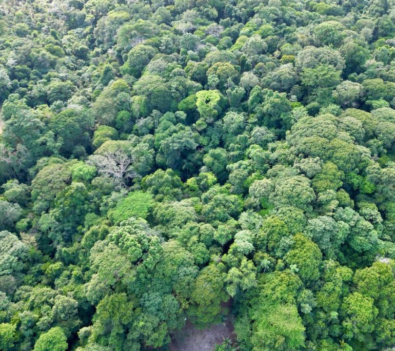 Photo of Others in Sarapiqui