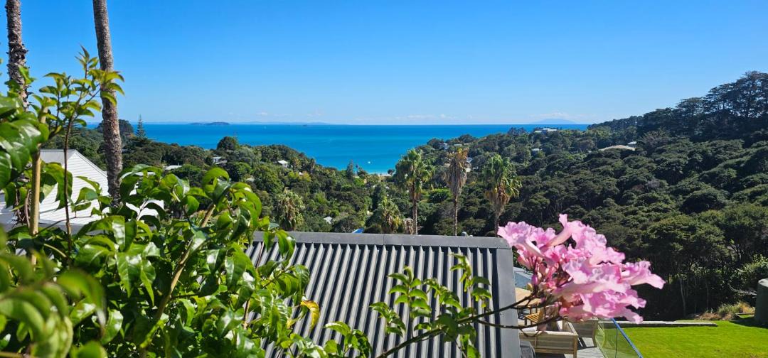 Photo of Others in Waiheke Island