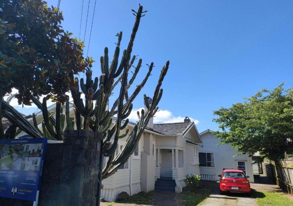 Photo of Others in Mount Eden
