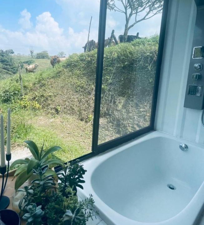 Photo of Bathroom in Colonia del Toro