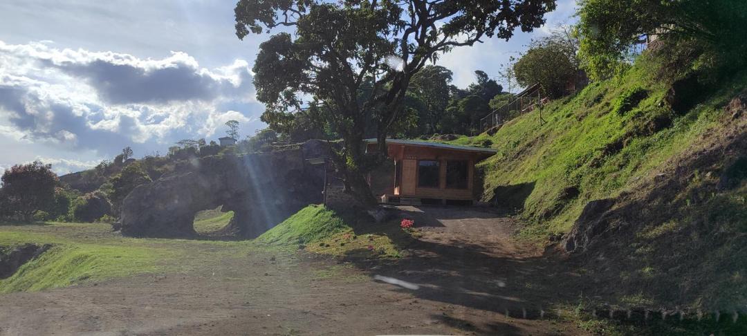 Photo of Others in Pacuare Reserve