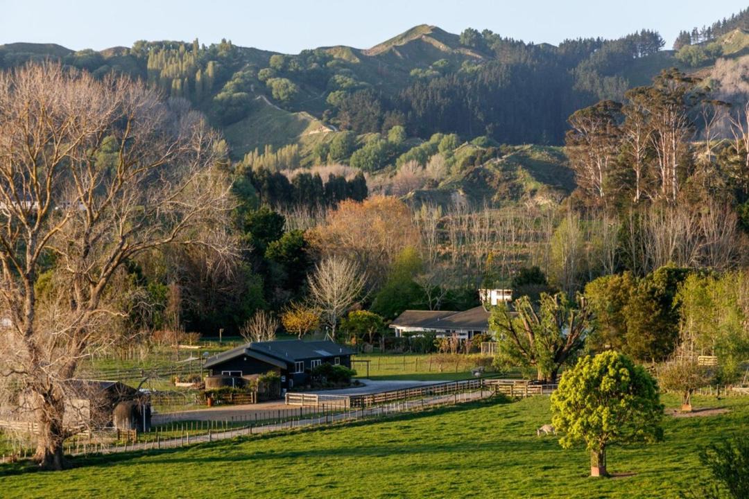 Photo of Others in Gisborne