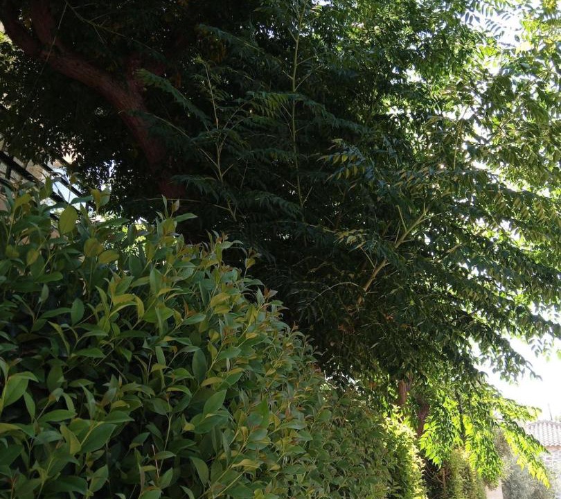 Photo of Outdoor in Drepano