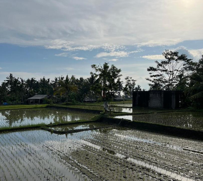 Photo of Others in Tampaksiring