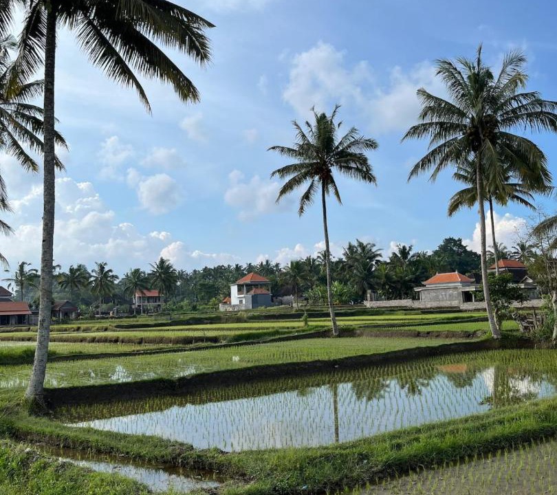 Photo of Others in Tampaksiring