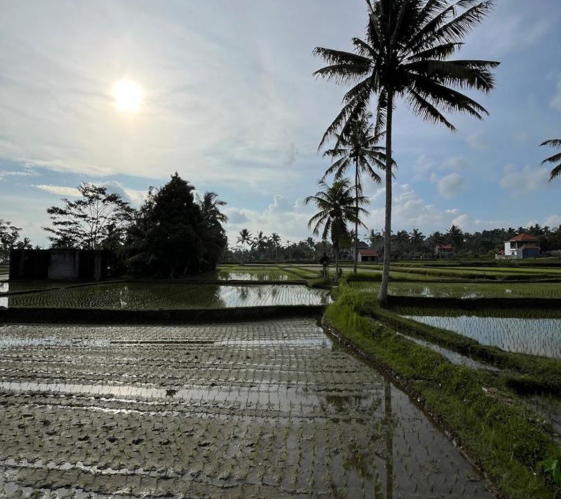Photo of Others in Tampaksiring