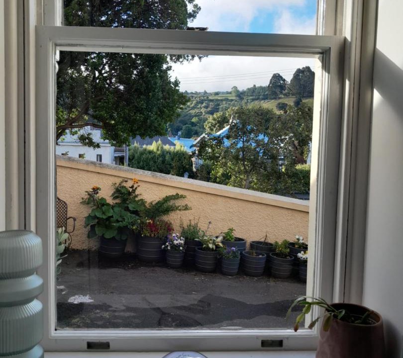 Photo of Others in Dunedin
