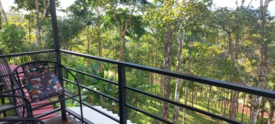 Photo of Patio Balcony in San Isidro de El General