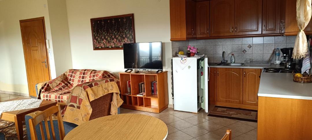 Photo of Kitchen in Konitsa