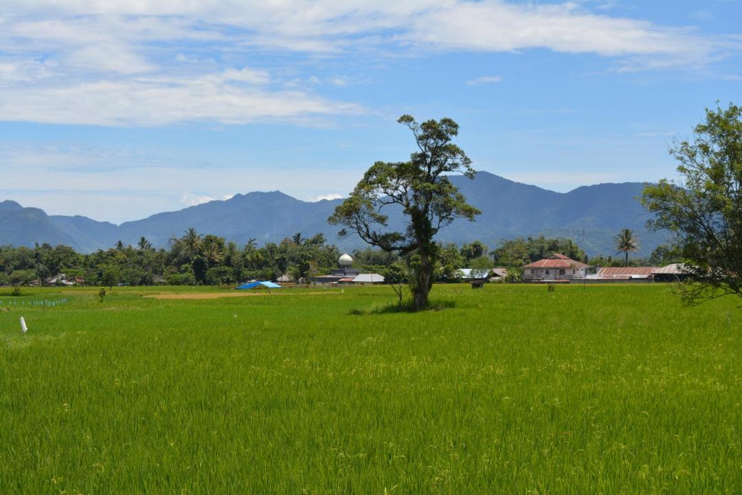 Photo of Others in Sumatra