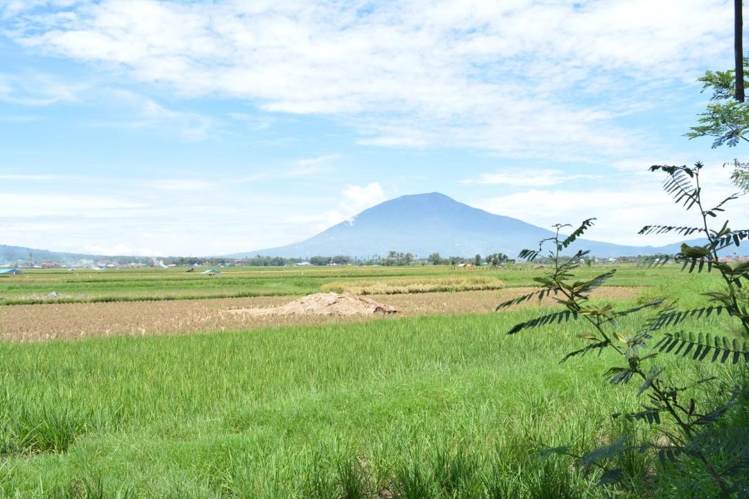 Photo of Others in Sumatra