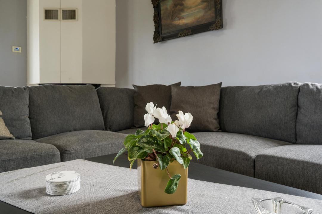 Photo of Livingroom in Katochori