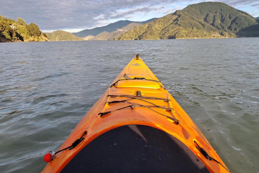 Photo of Others in Moetapu Bay