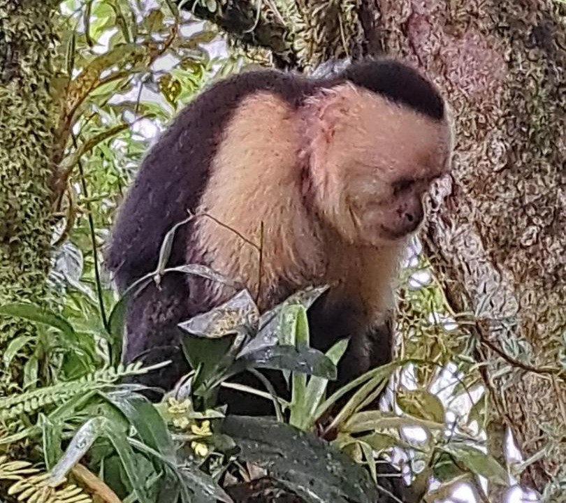 Photo of Others in Quebrada Grande