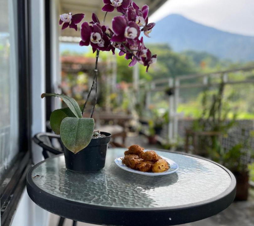 Photo of Patio Balcony in Pacet