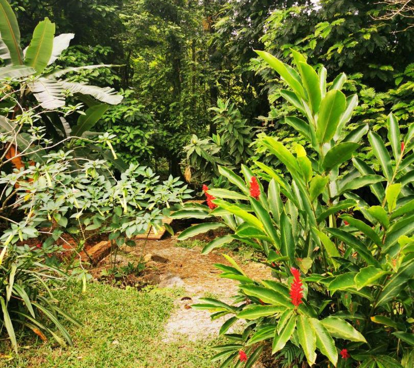 Photo of Outdoor in Las Horquetas